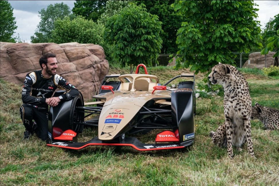 Vergne embajador para el Santuario Big Cat